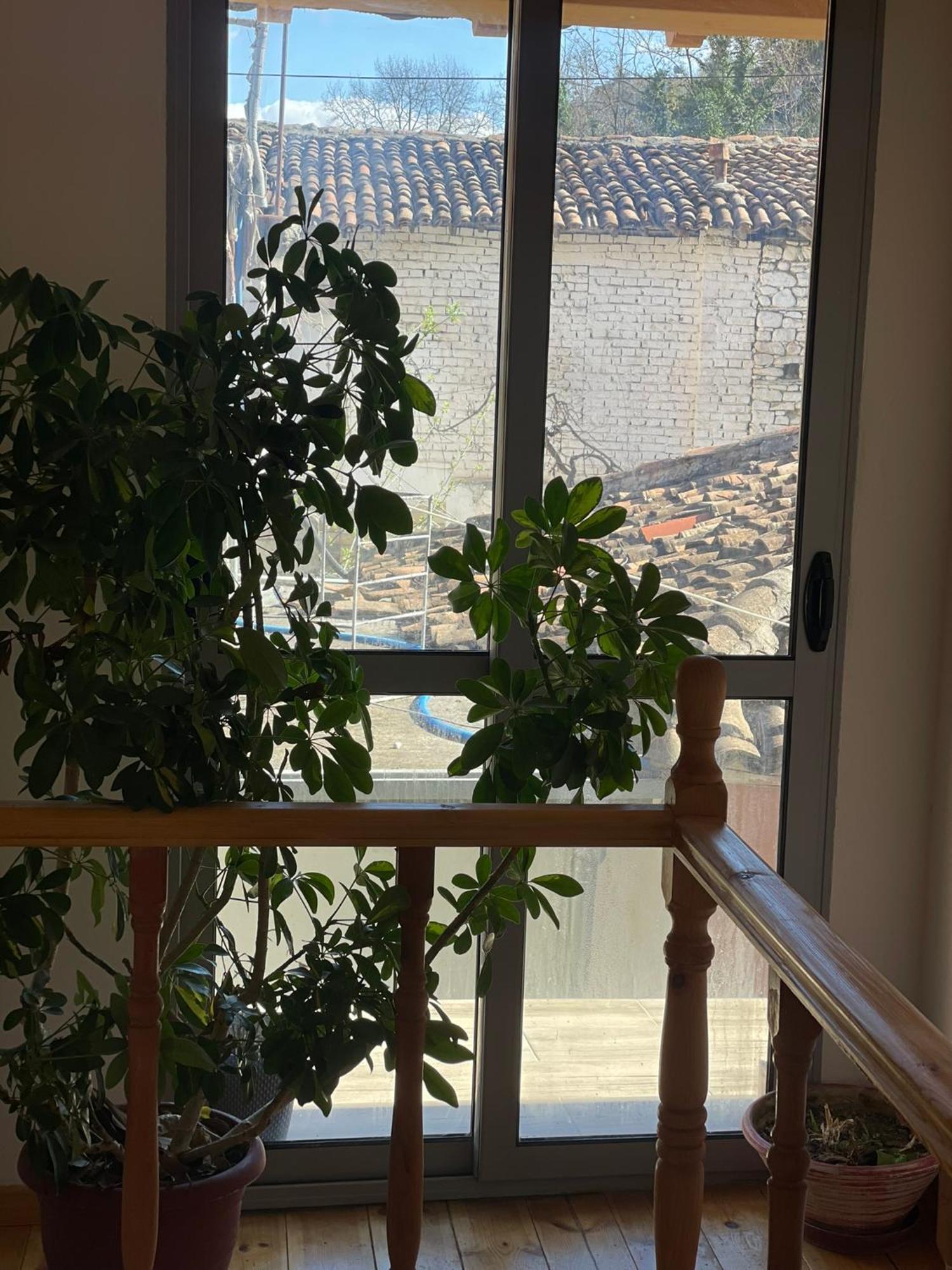 Guesthouse Kroi City Center Berat Exteriör bild